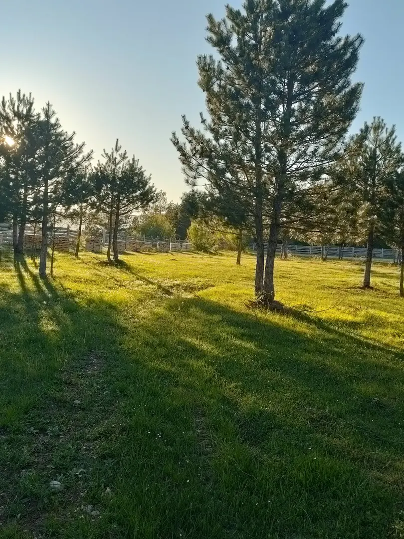 Fikri Atalay Konağı - Bungalov Evleri Bolu — Bolu — küçük resim 4