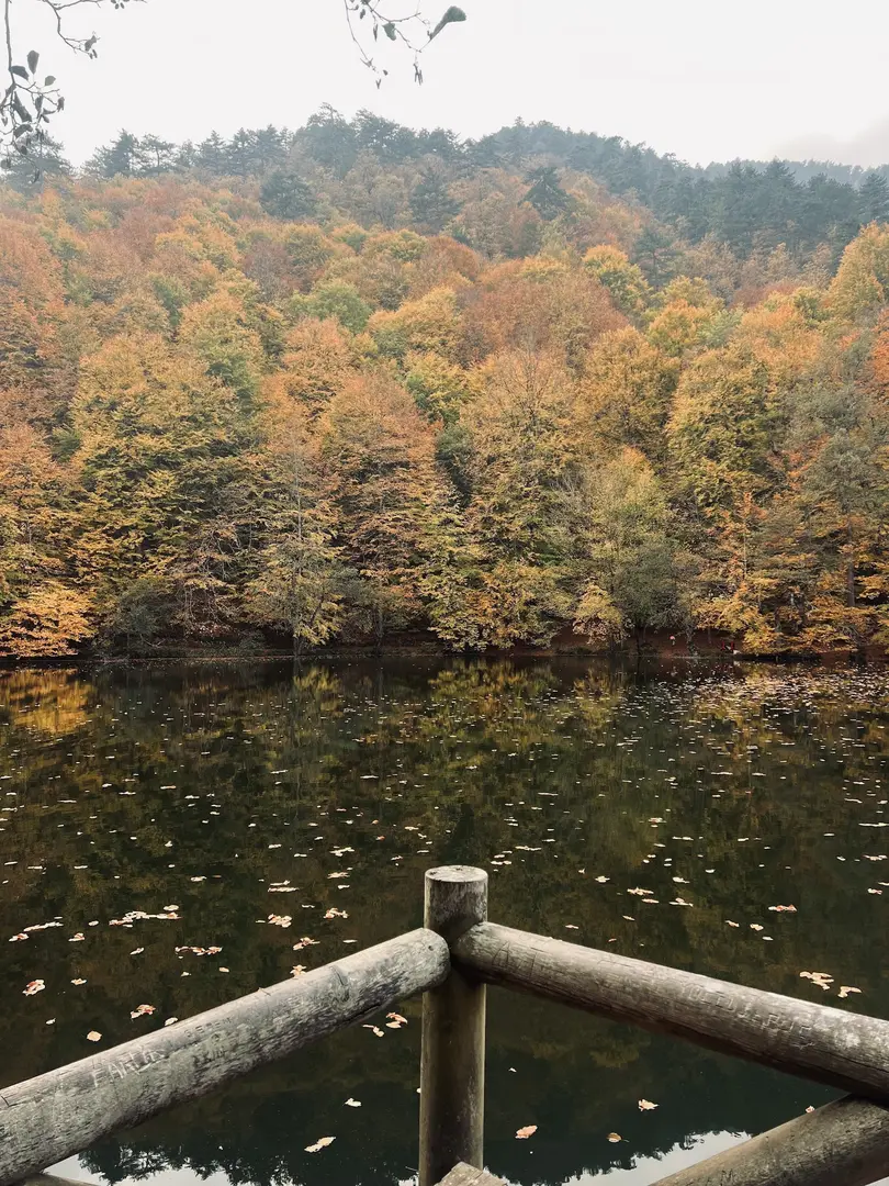 Yedigöller Bungalov Evleri — Bolu — küçük resim 7