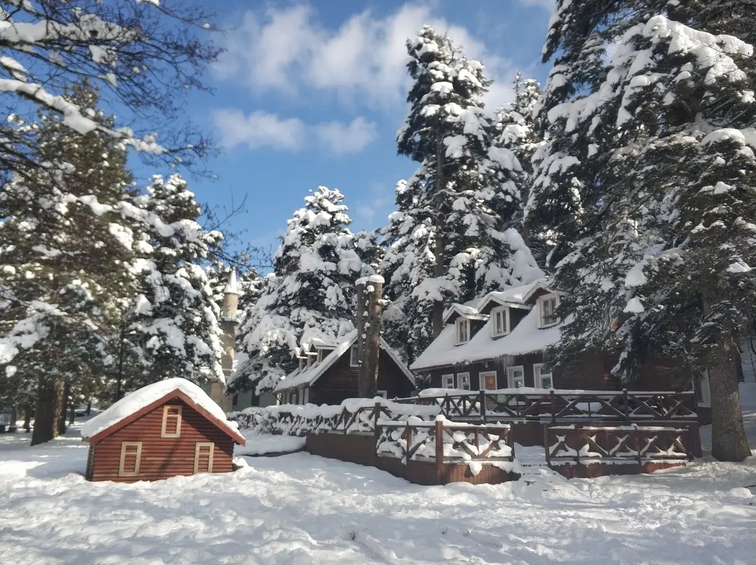 Gölcük Kır Evi | Gölcük Bungalov — Bolu — küçük resim 4