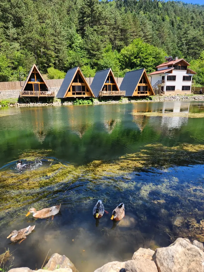 Abant Vadi Bungalov Ve Dağ Evleri — Bolu — küçük resim 3