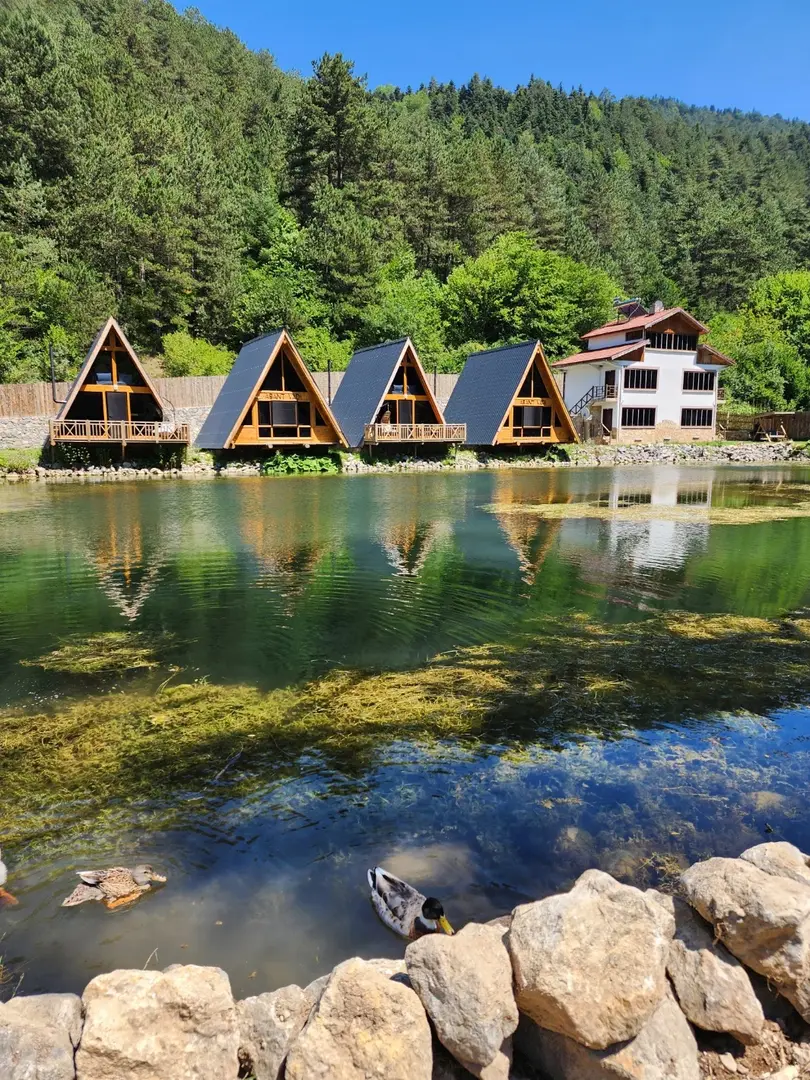Abant Vadi Bungalov Ve Dağ Evleri