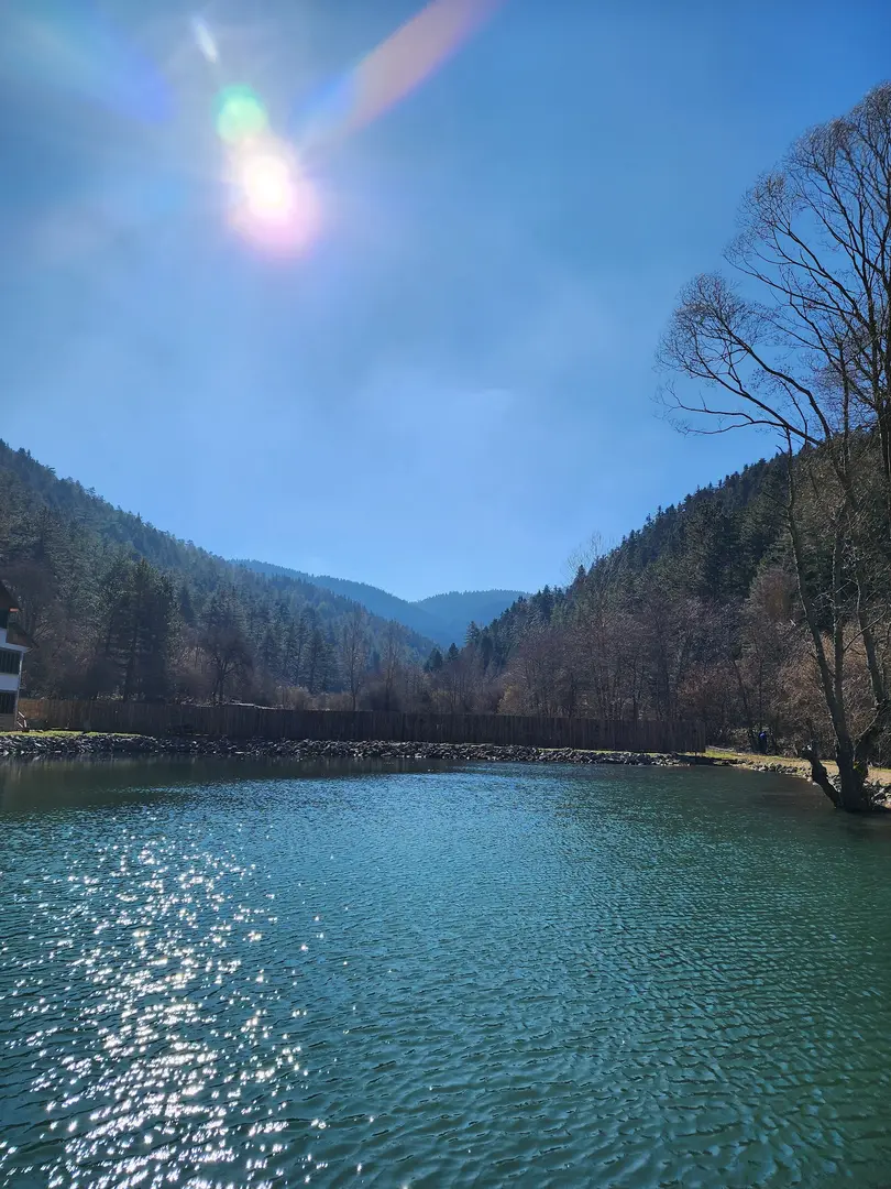 Abant Vadi Bungalov Ve Dağ Evleri — Bolu — küçük resim 8