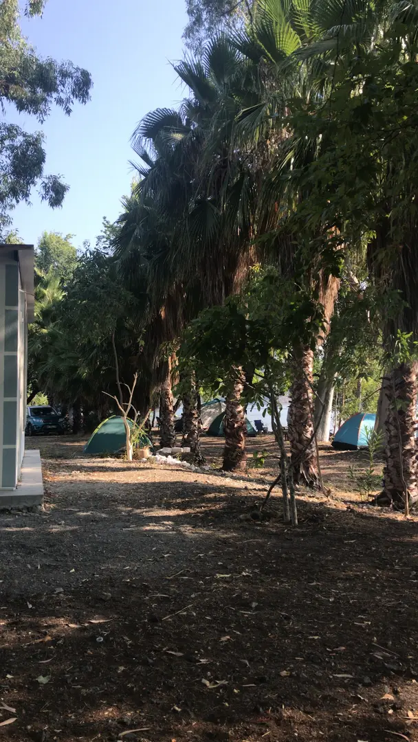 Kıyıda Camping — Muğla — küçük resim 5