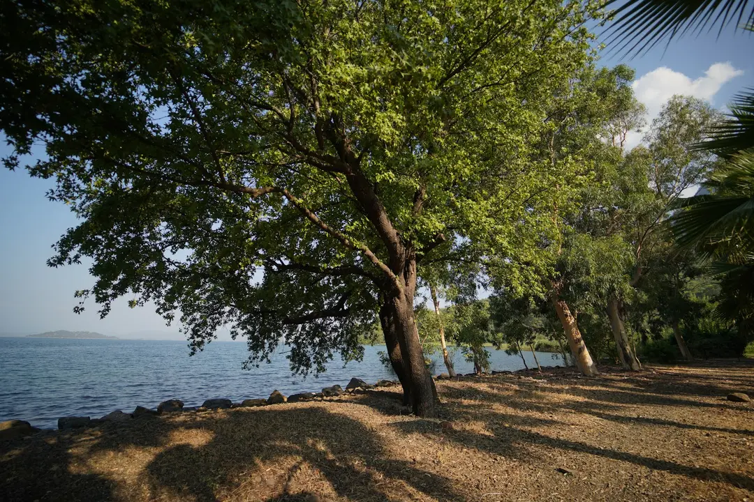 Kıyıda Camping — Muğla — küçük resim 10