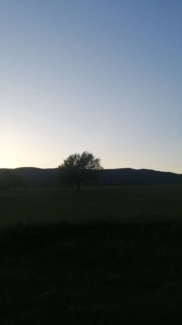Bungalov da kal — Bolu — küçük resim 6