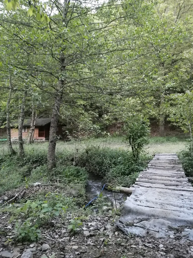 Bungalov da kal — Bolu — küçük resim 5