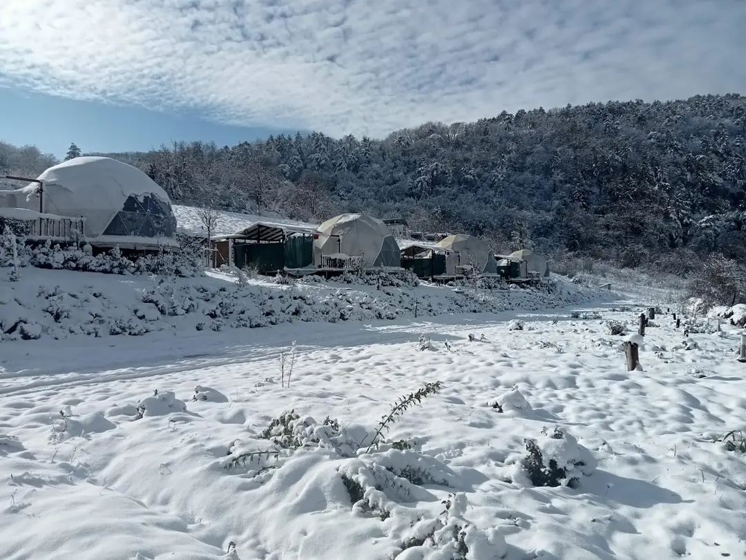 Dengekoru Bungalov Hotel — Bolu — küçük resim 5