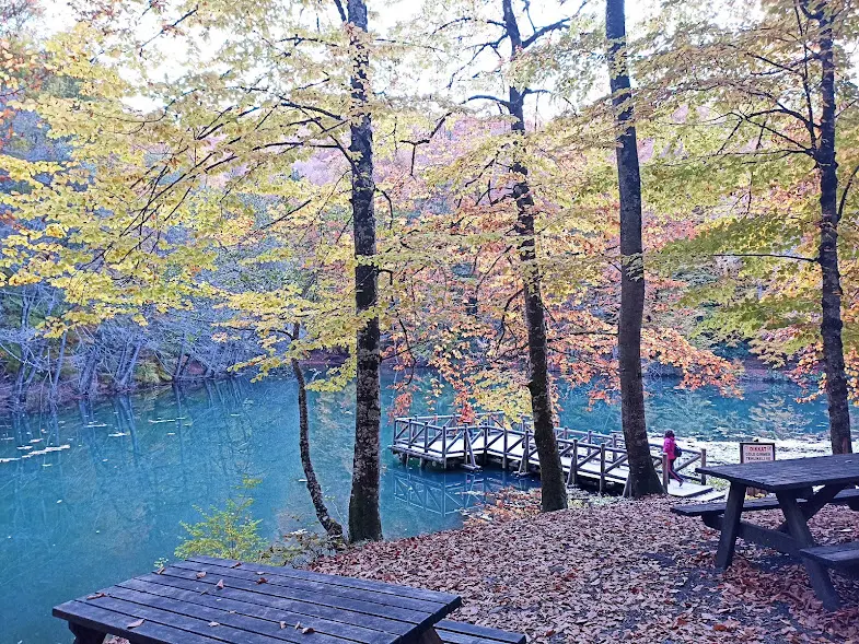 Habitat Mesire Yerleri — Bolu — küçük resim 8