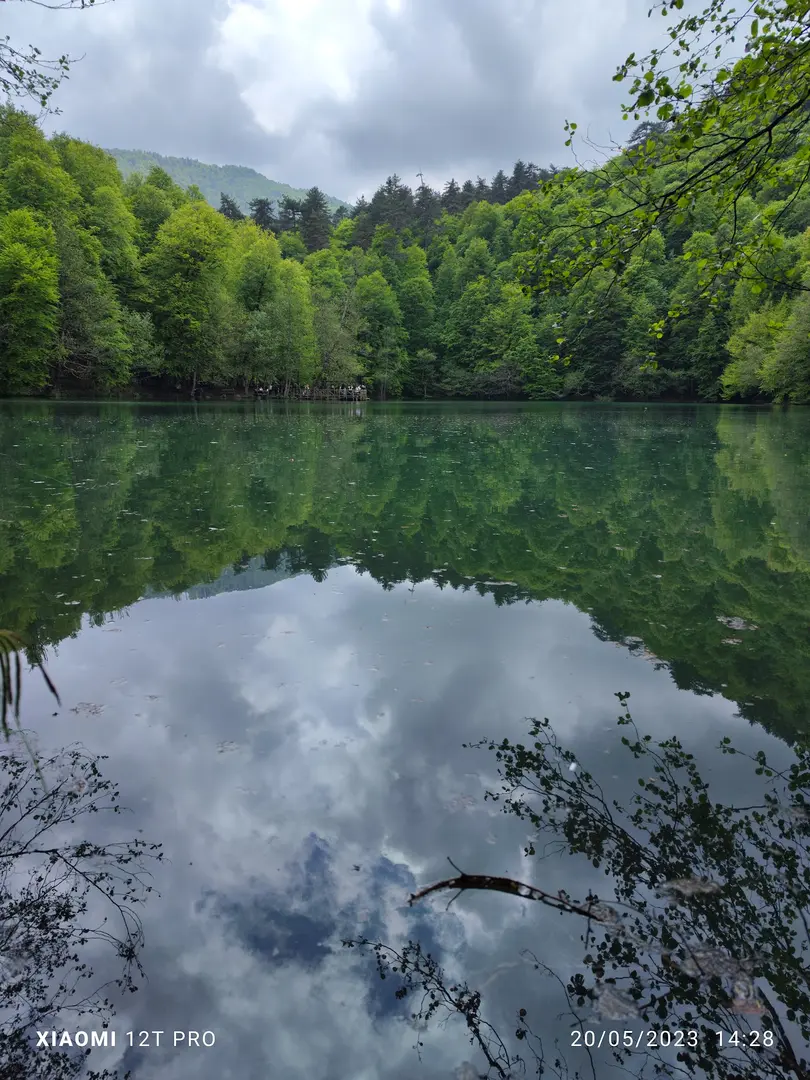 Habitat Mesire Yerleri — Bolu — küçük resim 4