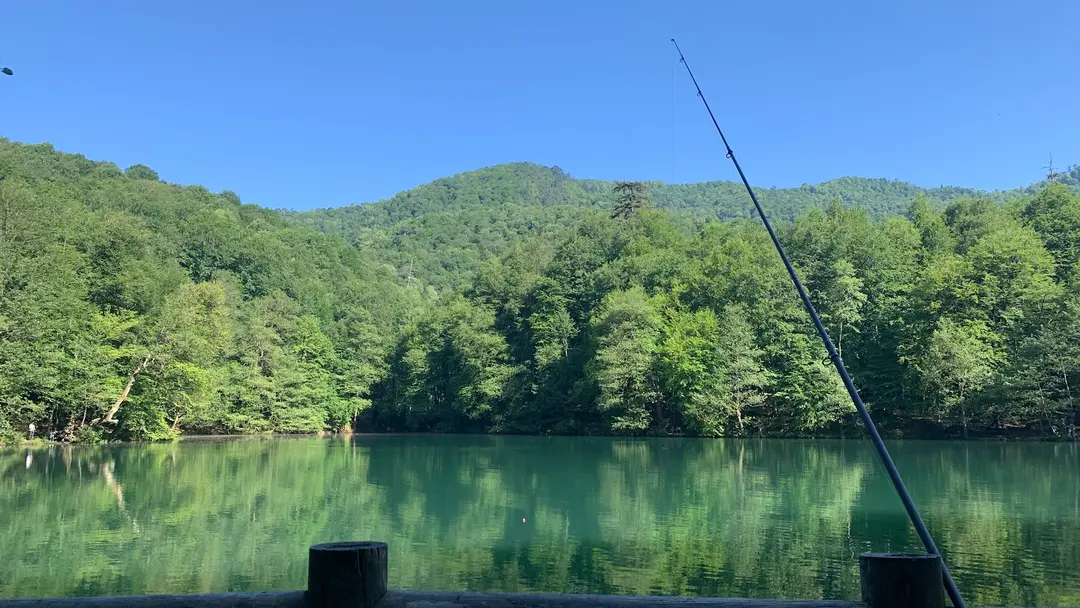 Habitat Mesire Yerleri — Bolu — küçük resim 5