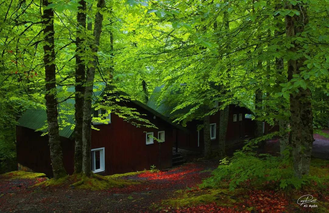 Habitat Mesire Yerleri — Bolu — küçük resim 3