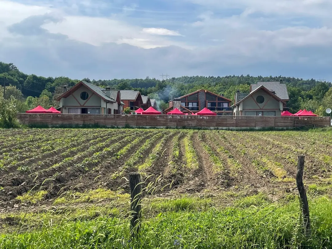 Abant Cozy Homes — Bolu — küçük resim 6
