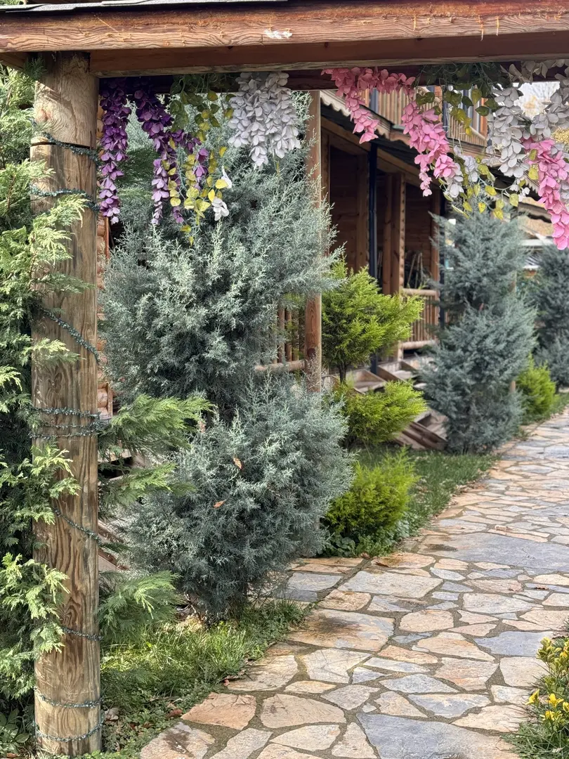 Abant Pelit — Bolu — küçük resim 7