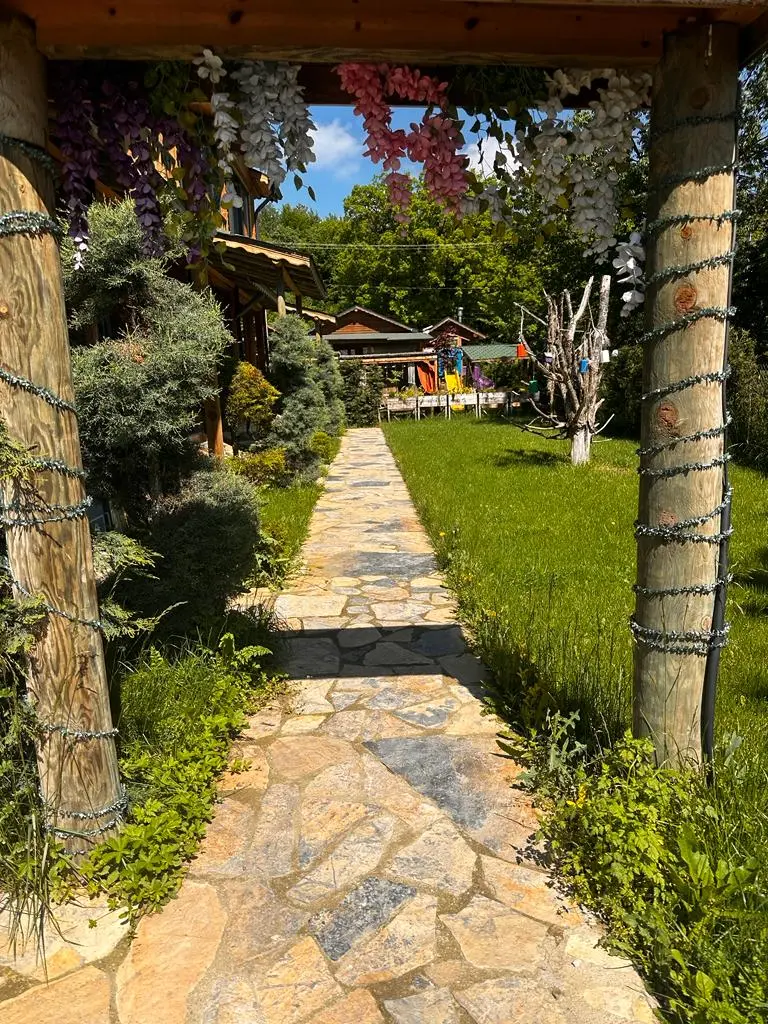 Abant Pelit — Bolu — küçük resim 5