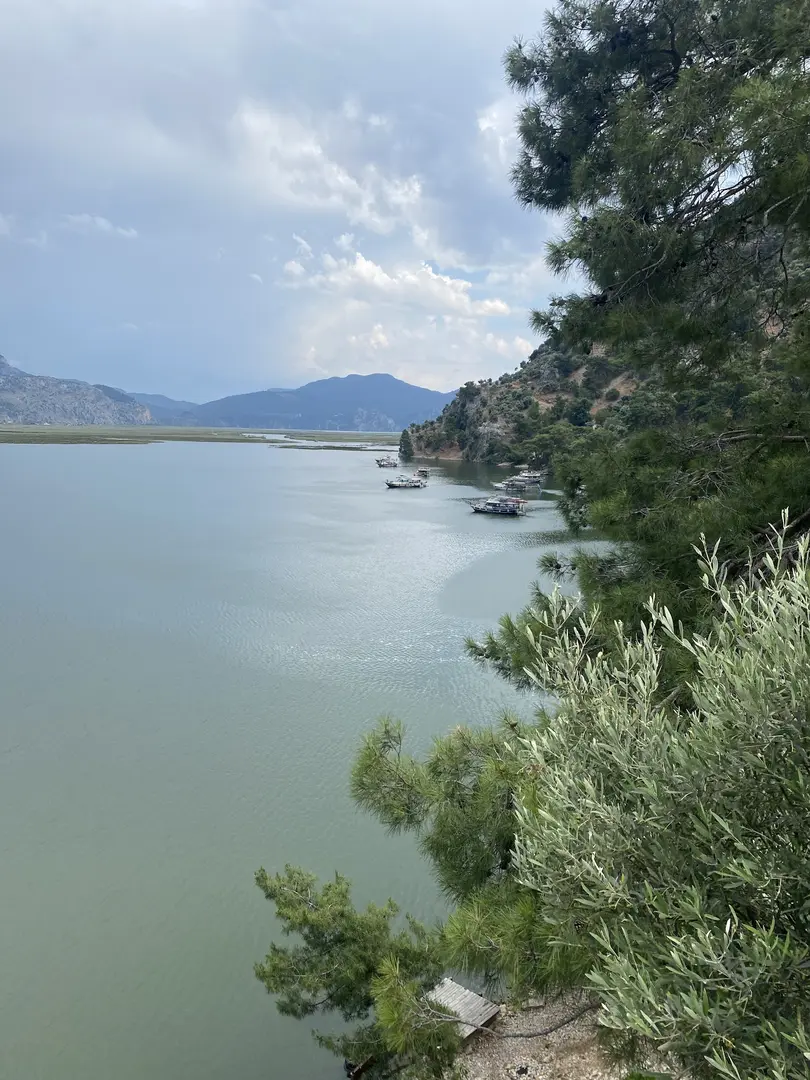 Dalyan View Terrace — Muğla — küçük resim 5