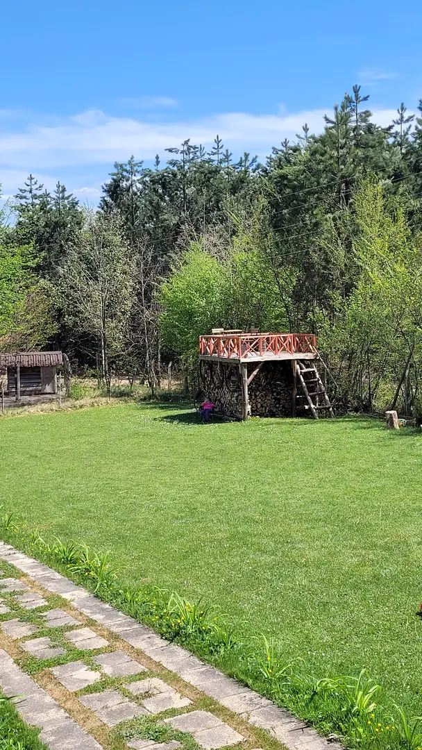 Petunya Orman Evi — Bolu — küçük resim 7