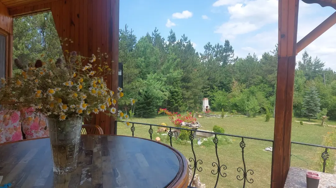 Petunya Orman Evi — Bolu — küçük resim 5