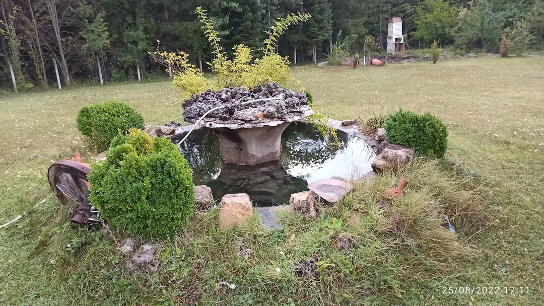 Petunya Orman Evi — Bolu — küçük resim 9