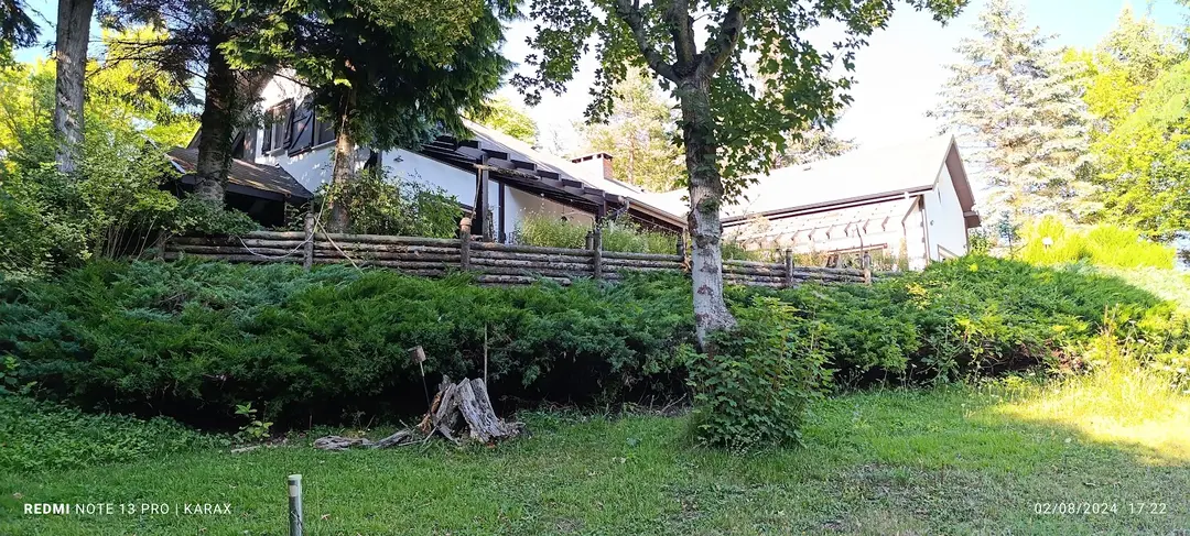 Robin Bolu — Bolu — küçük resim 4