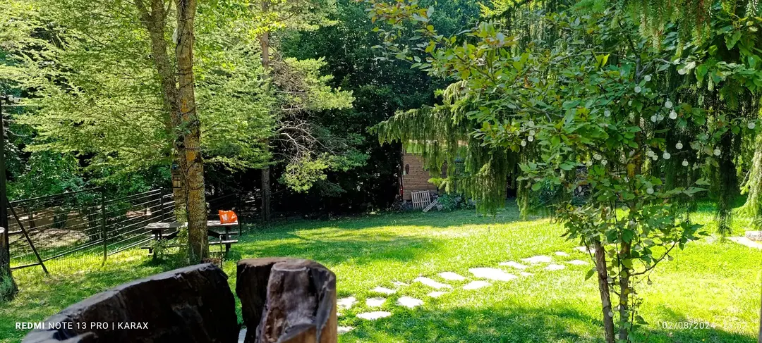 Robin Bolu — Bolu — küçük resim 6