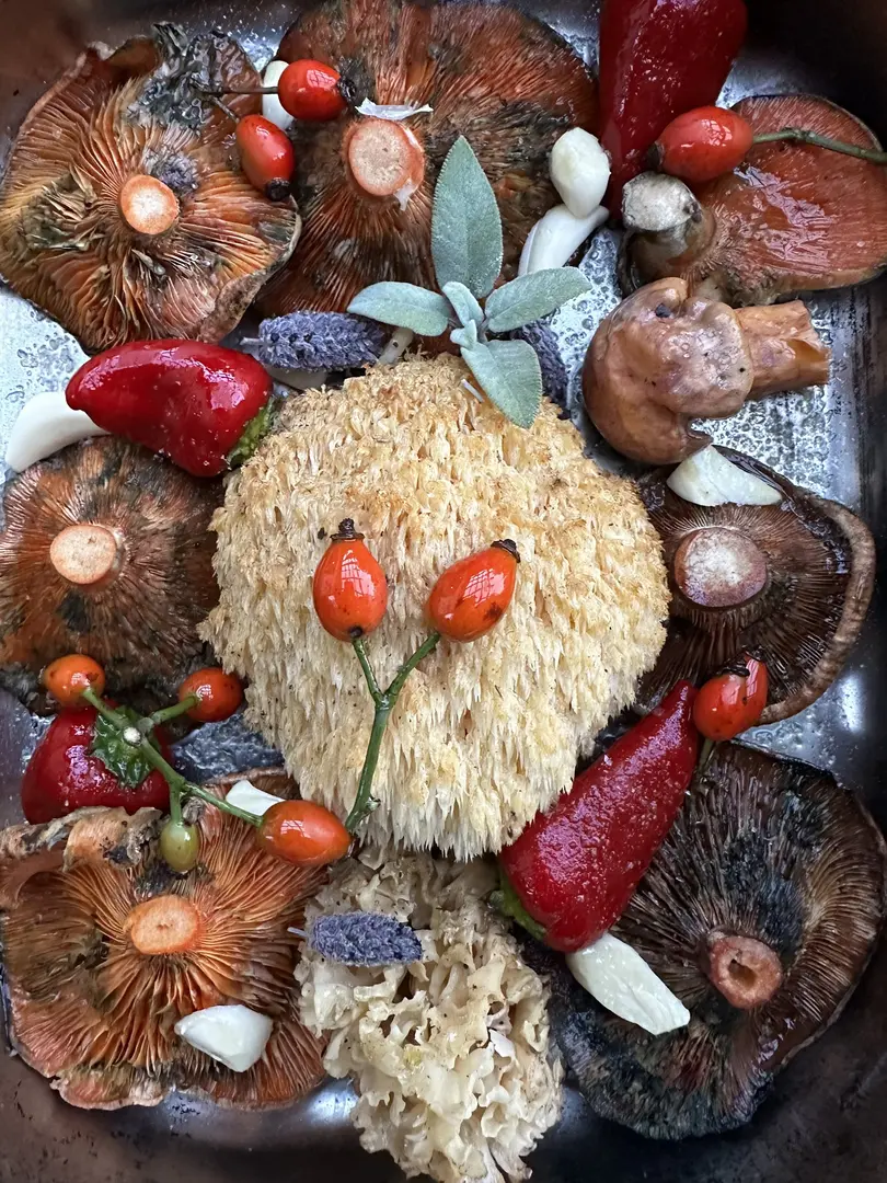 Robin Bolu — Bolu — küçük resim 7