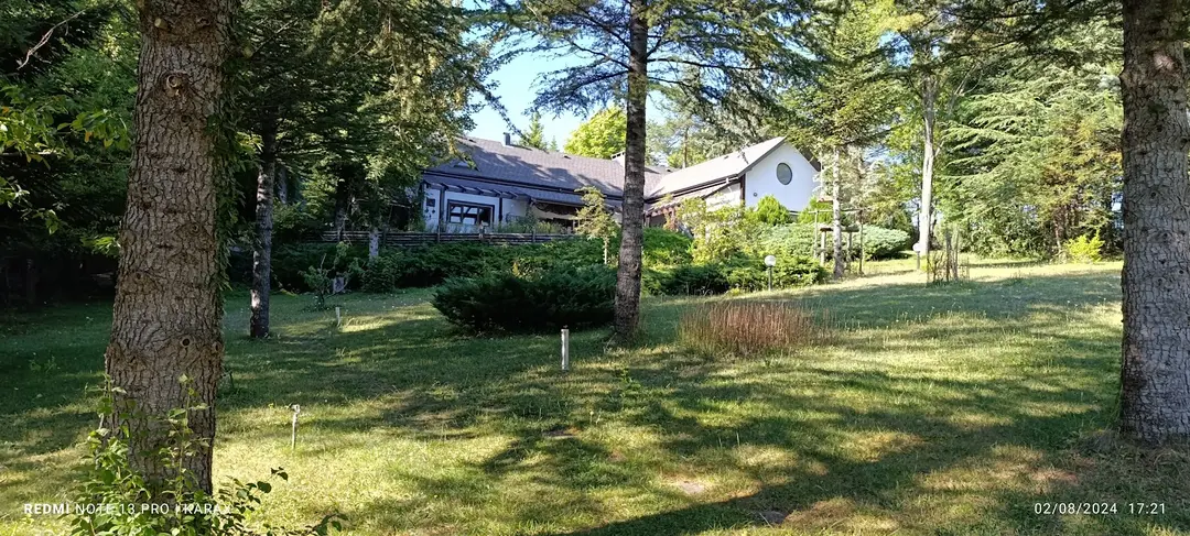 Robin Bolu — Bolu — küçük resim 3
