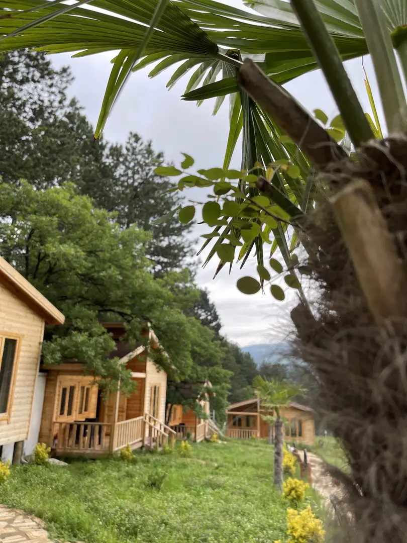 Koru Aura — Bolu — küçük resim 7