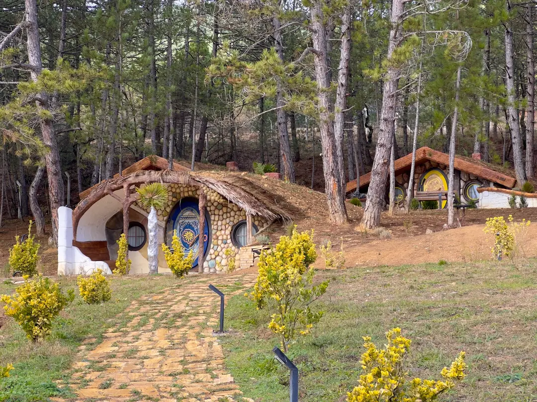 Koru Aura — Bolu — küçük resim 3