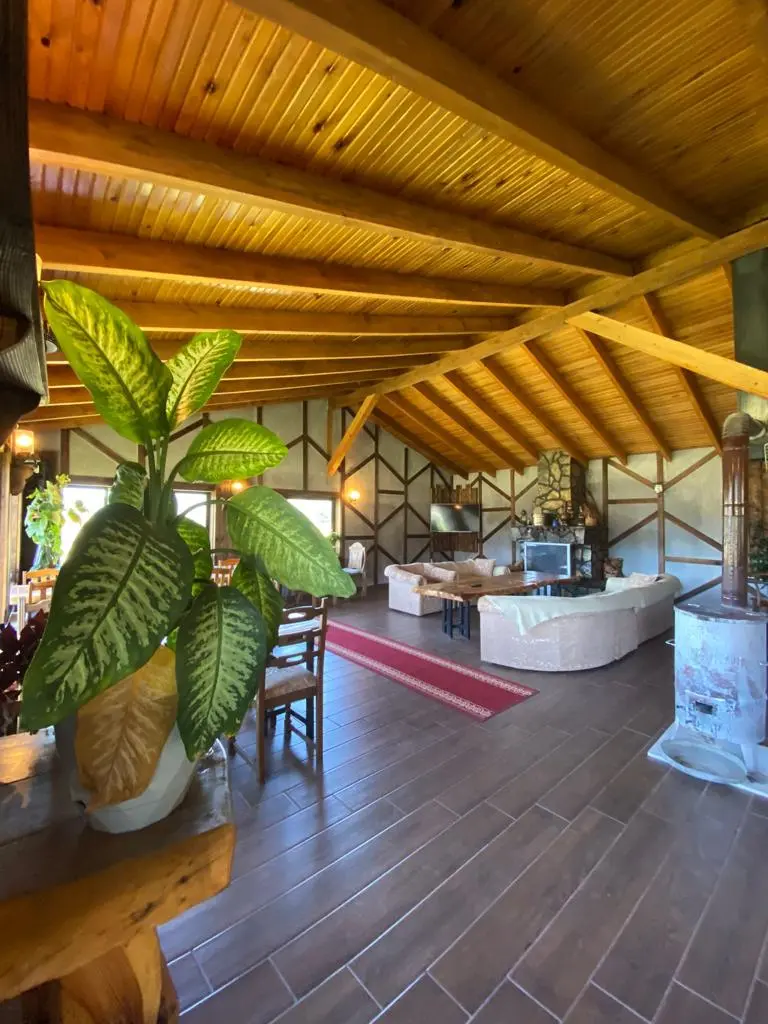 SARIALAN DAG EVI — Bolu — küçük resim 3