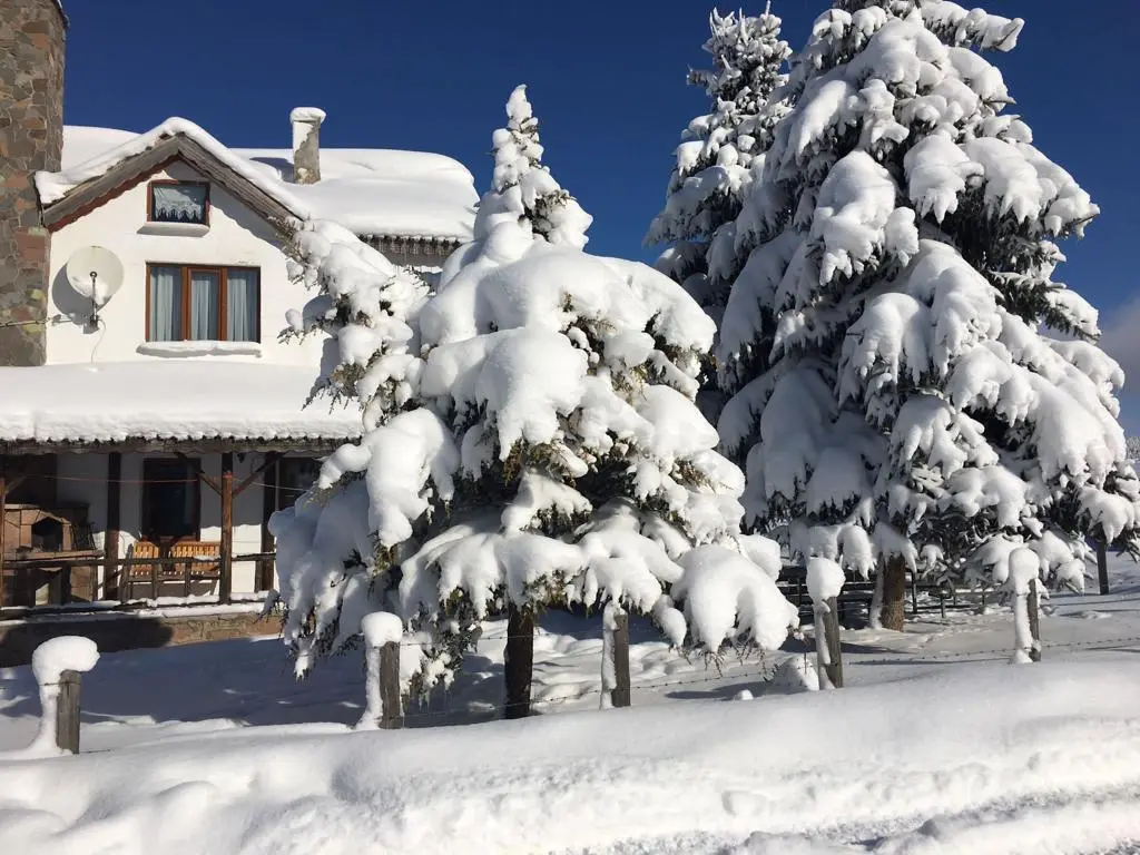 SARIALAN DAG EVI — Bolu — küçük resim 6