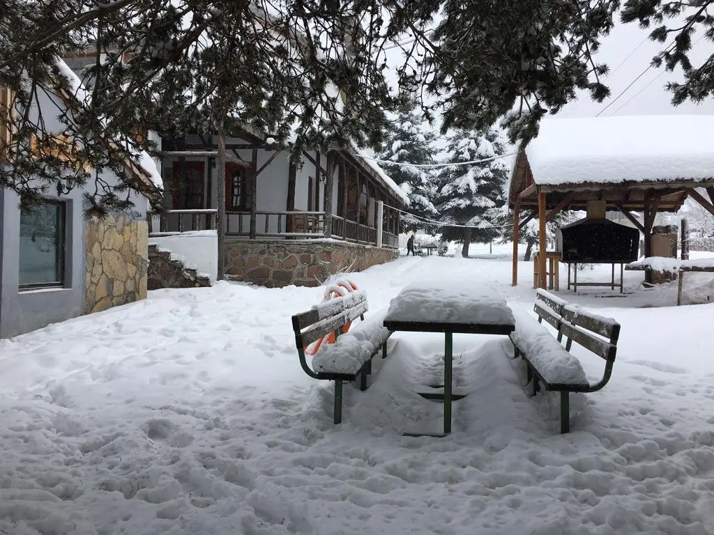 SARIALAN DAG EVI