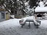 SARIALAN DAG EVI