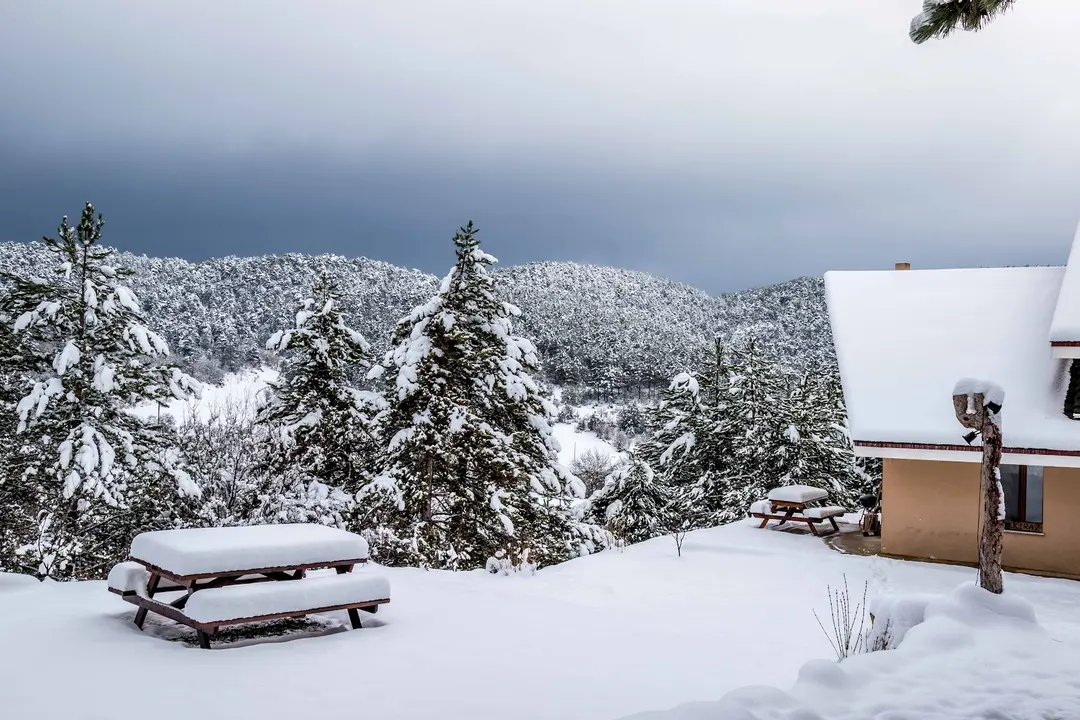 Sakintepe — Bolu — küçük resim 3