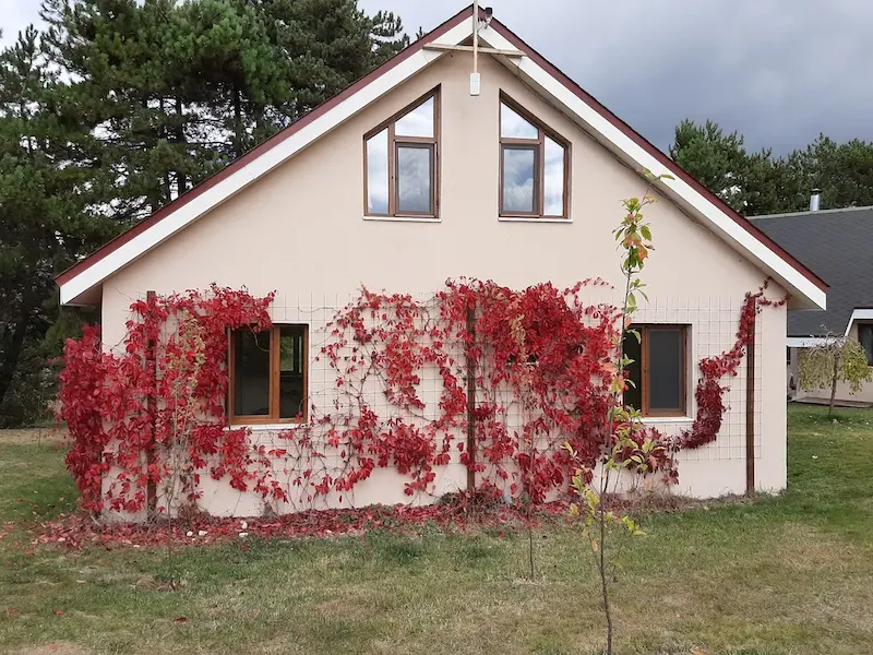 Sakintepe — Bolu — küçük resim 8