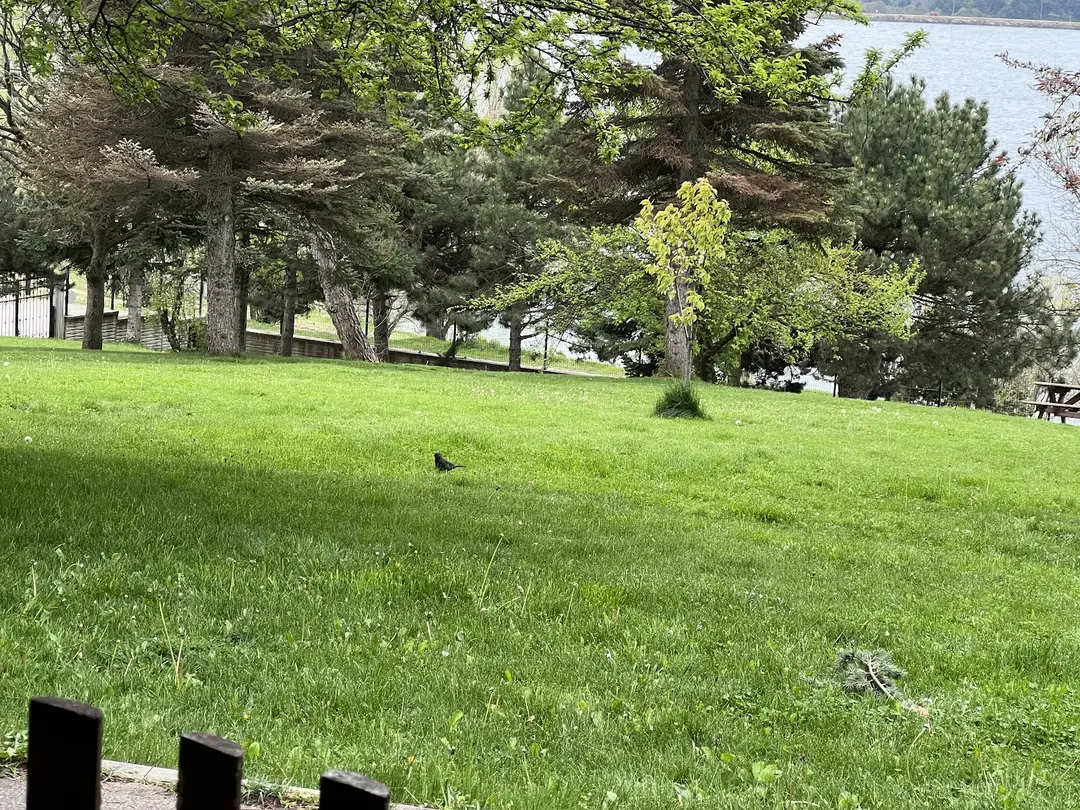 DSİ Eğitim ve Dinlenme Tesisleri — Bolu — küçük resim 3