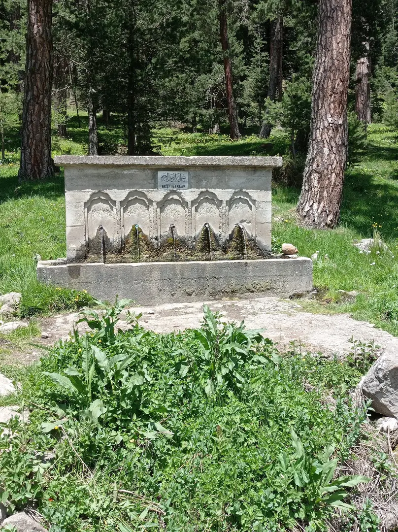 Beşpınarlar Tabiat Parkı — Bolu — küçük resim 6